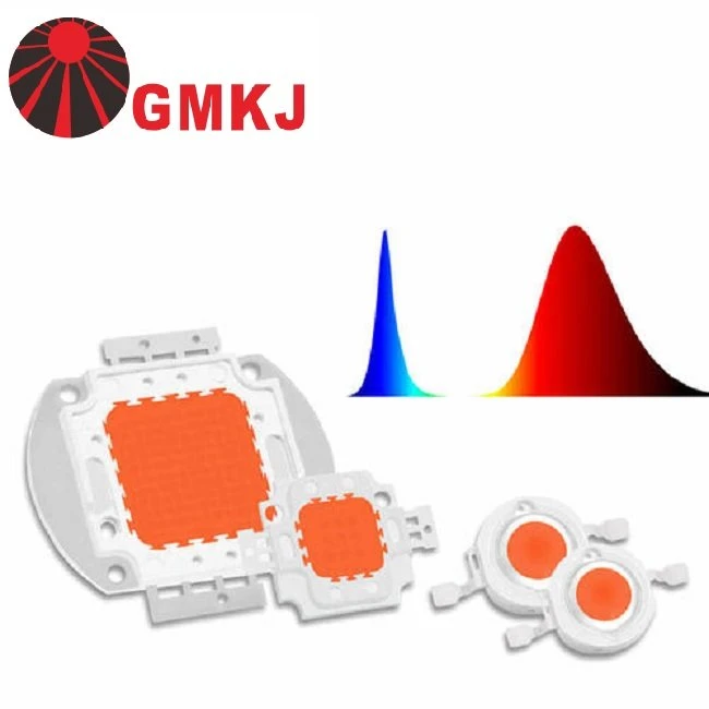 90W Полный спектр COB LED Ra95